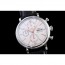 [IWC]IWC 포르토피노 크로노 IW391022   