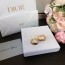 디올 DIOR 2022 SS 캐릭터 띠로고 원형 여성 귀걸이 커스텀급
