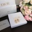 디올 DIOR 2022 SS 캐릭터 큐빅 로고 하트 여성 귀걸이 커스텀급