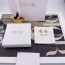 DIOR 2024 SS 디올 캐릭터 다이아 로고 럭셔리 패션 여성 귀걸이 커스텀급