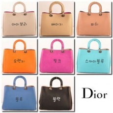 DIOR 디올 리시모백 신사의품격 김하늘가방 커스텀급