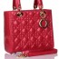 DIOR 레이디 디올 6322 토트백
