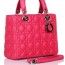DIOR 레이디 디올 토트백 6322
