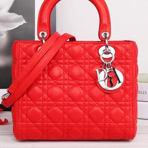 DIOR 디올 레이디 토트백 99002