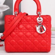 DIOR 디올 레이디 토트백 99002
