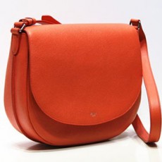 CELINE 셀린느 TROTTEU 트로터백