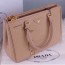 PRADA 프라다 사피아노 토트백 BN2274 커스텀급