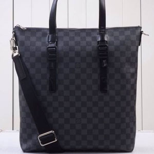 LOUIS VUITTON 루이비통 스카이라인 토트백 N41456
