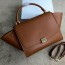 CELINE 셀린느 트라페제 C60259 미듐