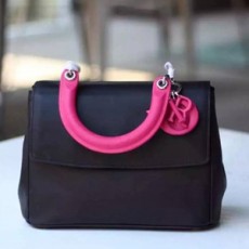 DIOR 디올 Be Dior 최지우가방 비 디올백