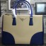 PRADA 프라다 BN2274 투톤 여성가방