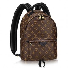 LOUIS VUITTON 루이비통 M41560 모노그램 팜 스프링스 백팩BB 커스텀급