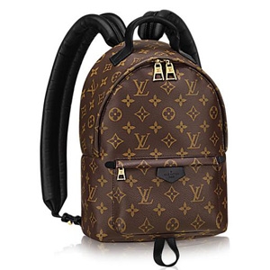 LOUIS VUITTON 루이비통 M41560 모노그램 팜 스프링스 백팩BB 커스텀급