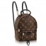 LOUIS VUITTON 루이비통 M41562 모노그램 팜 스프링스 백팩미니 커스텀급