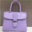 Delvaux 델보 브리앙 토트&크로스백 MINI & MM SIZE