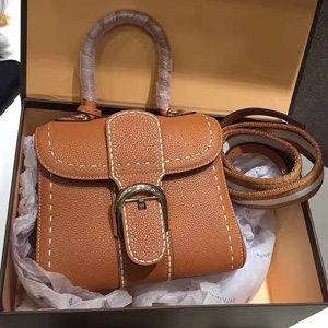Delvaux 델보 브리앙 토트&크로스백 MINI & MM SIZE