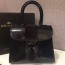 Delvaux 델보 브리앙 토트&크로스백 MINI SIZE