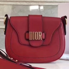 DIOR 디올 디펜스 숄더백 커스텀급