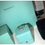 티파니 TIFFANY 2020 SS 큐빅 925 은 반지