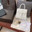 델보 DELVAUX 2020 SS 스티치 브리앙 토트백 DV0028 미러급