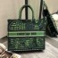 디올 DIOR 2020 SS 오블리크 캐릭터 그린 북 토트백 커스텀급