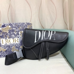 디올 DIOR 2020 SS 스티치 새들 로고 크로스백 커스텀급