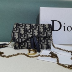 디올 DIOR 2020 SS 오블리크 나노 새들 체인 파우치백 5654 커스텀급