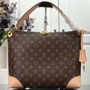루이비통 LOUIS VUITTON 2020 SS 모노그램 캔버스 베리 숄더백 M41623 커스텀급