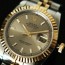 로렉스 오이스터 퍼페츄얼 DATEJUST 22206 시계 REF.179173